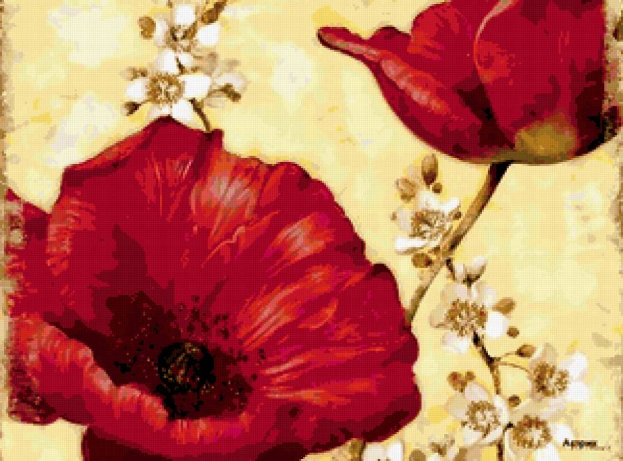 Красный мак - маки, цветы, букет - предпросмотр