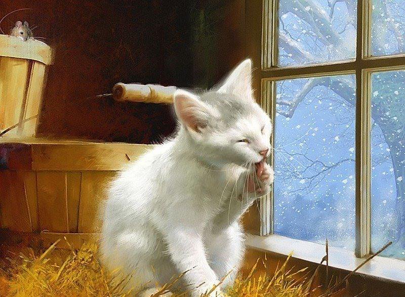 Кошка умывала нос. Кошки на окошке. Котенок у окна. Кошка на окне. Кот на окне умывается.