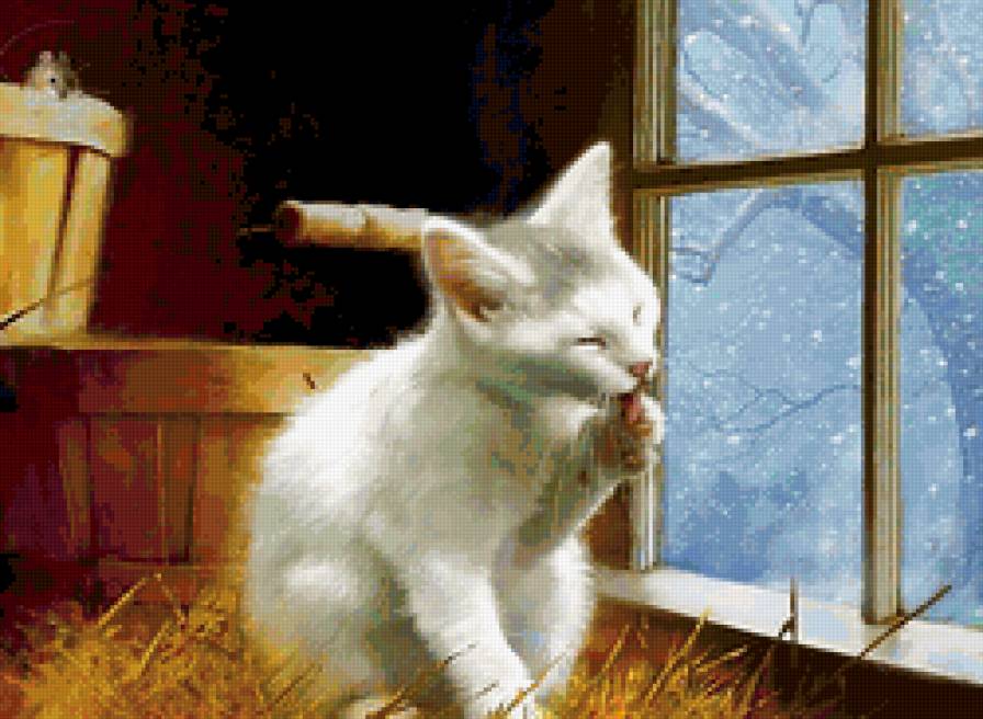 27 - котенок, кошка, животные - предпросмотр