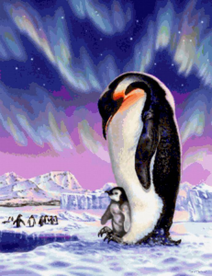 пингвин - животное - предпросмотр