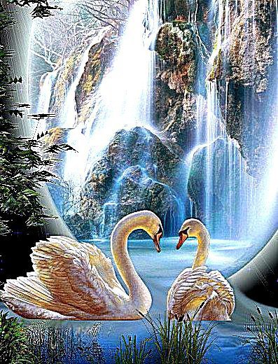 лебеди - оригинал