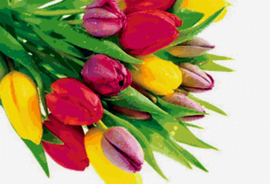 тюльпаны - букет, весна, тюльпаны, цветы - предпросмотр
