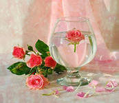 №280147 - розы, цветы, букеты - оригинал