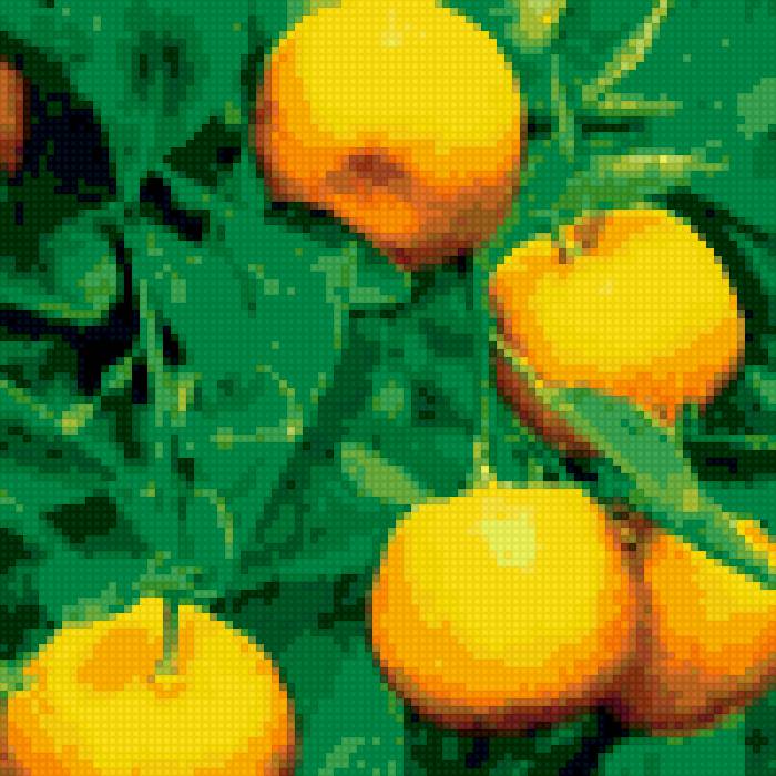 Мандарины - натюрморт, фрукты, мандарины - предпросмотр