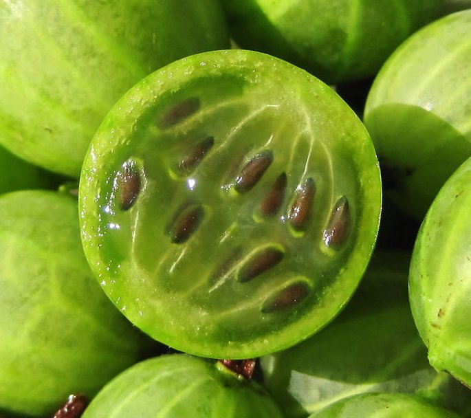 Крыжовник - крыжовник, ягоды, натюрморт - оригинал