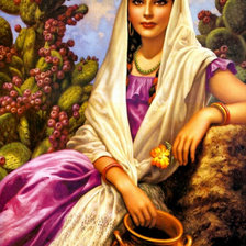 Схема вышивки «мексиканская красавица»