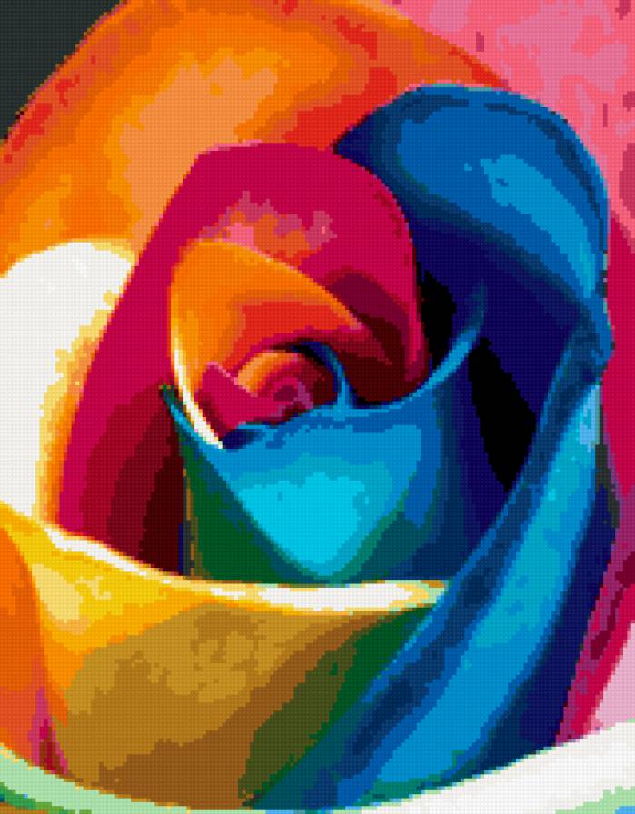 Разноцветная роза - роза, цветок, красота - предпросмотр