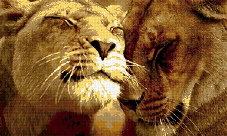 Львы - любовь, львы - предпросмотр