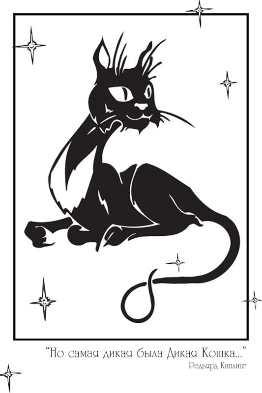 Котик 1 - оригинал