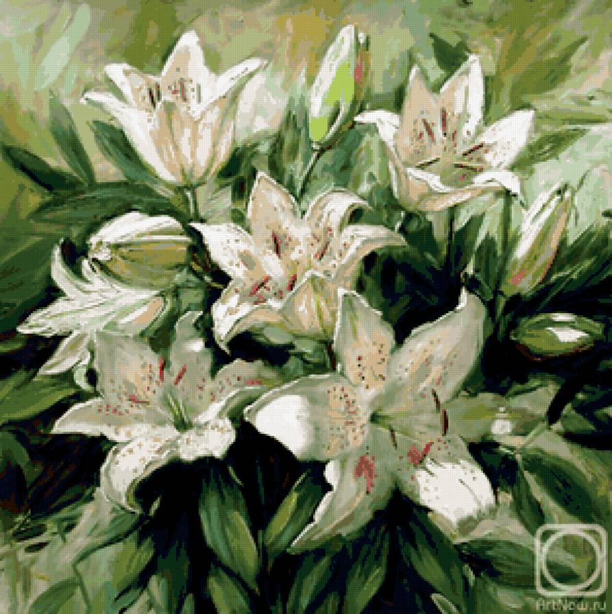 лилии - лилии - предпросмотр