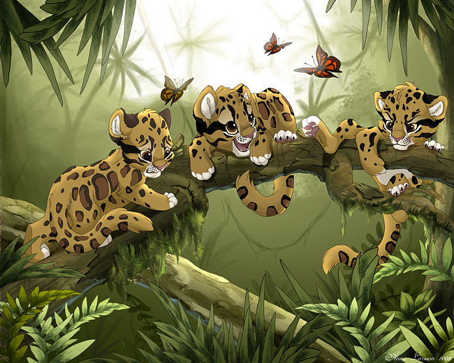 Маленькие леопарды - джунгли, котята - оригинал