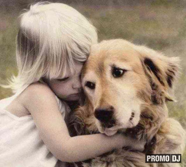 дружба - дружба, дети, собака - оригинал