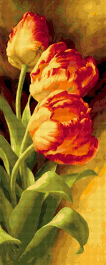 тюльпаны - тюльпаны, цветы - предпросмотр