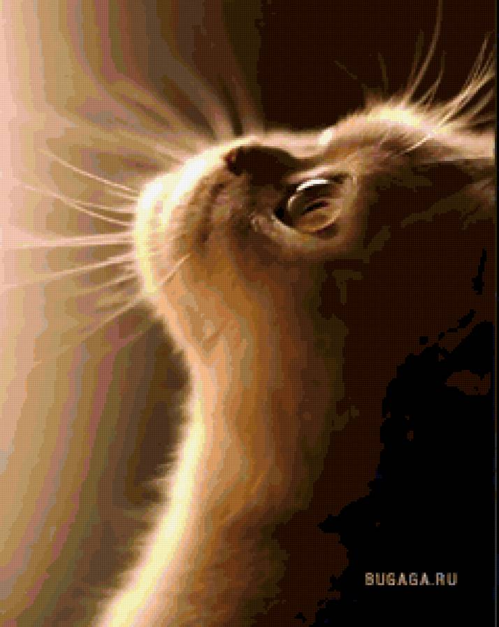 кот - котенок, взгляд, кот - предпросмотр