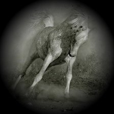 Схема вышивки «лошадь 3»