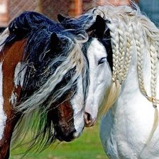 Схема вышивки «скакуны»