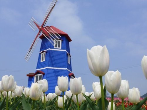 Мельница - оригинал