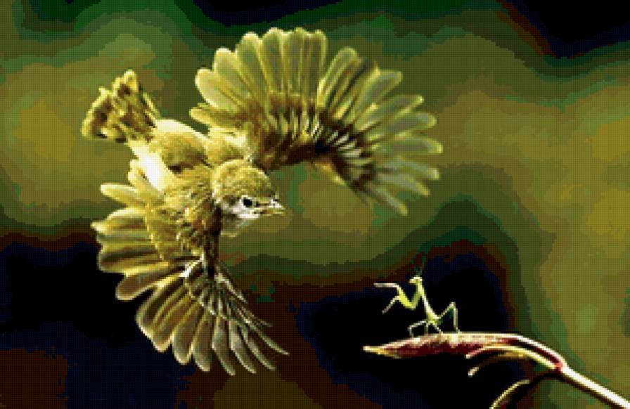 Птица - птицы - предпросмотр