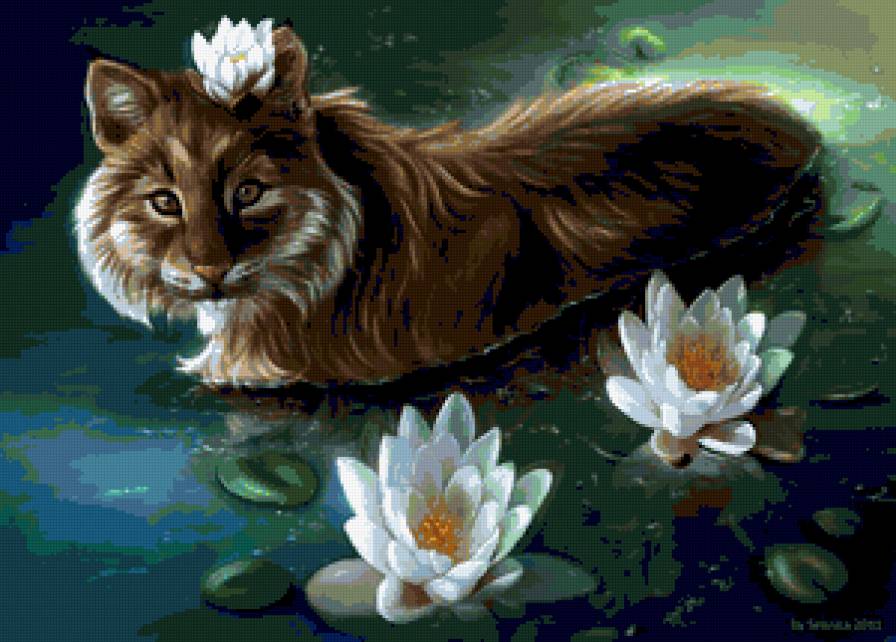 Дикие кошки - пума, цветы, дикие кошки, водяные лилии, животные, лилии - предпросмотр