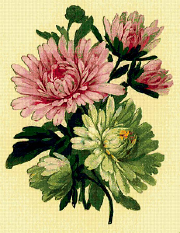 букет цветов - предпросмотр