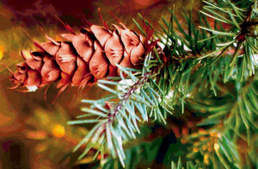 Шишка - природа, растения - предпросмотр