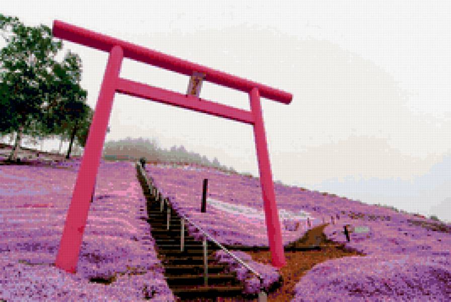 Весна в Японии - весна, япония - предпросмотр