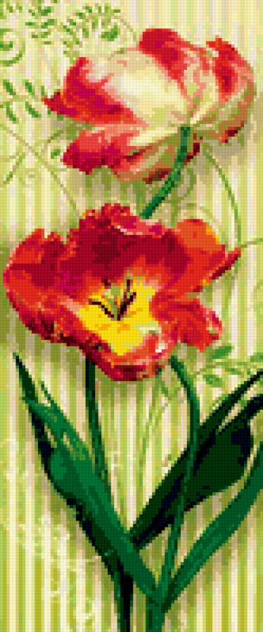 тюльпаны :) 1 - цветы, красные тюльпаны. - предпросмотр