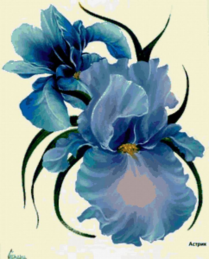 Весенние цветы - ирис, букет, цветы - предпросмотр