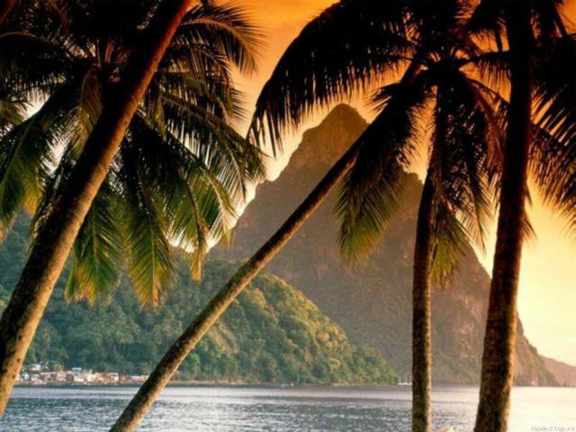 пальмы, море... - море, пейзаж, остров - оригинал