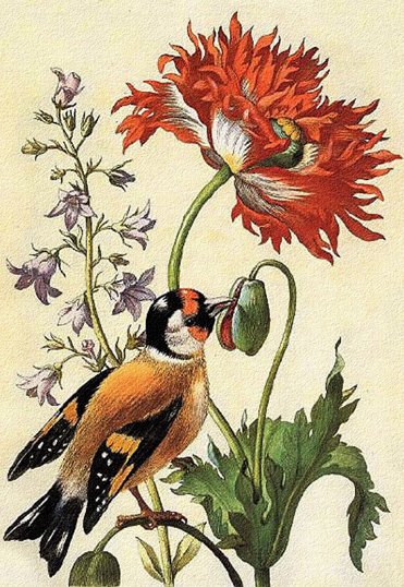 птичка на цветах - оригинал