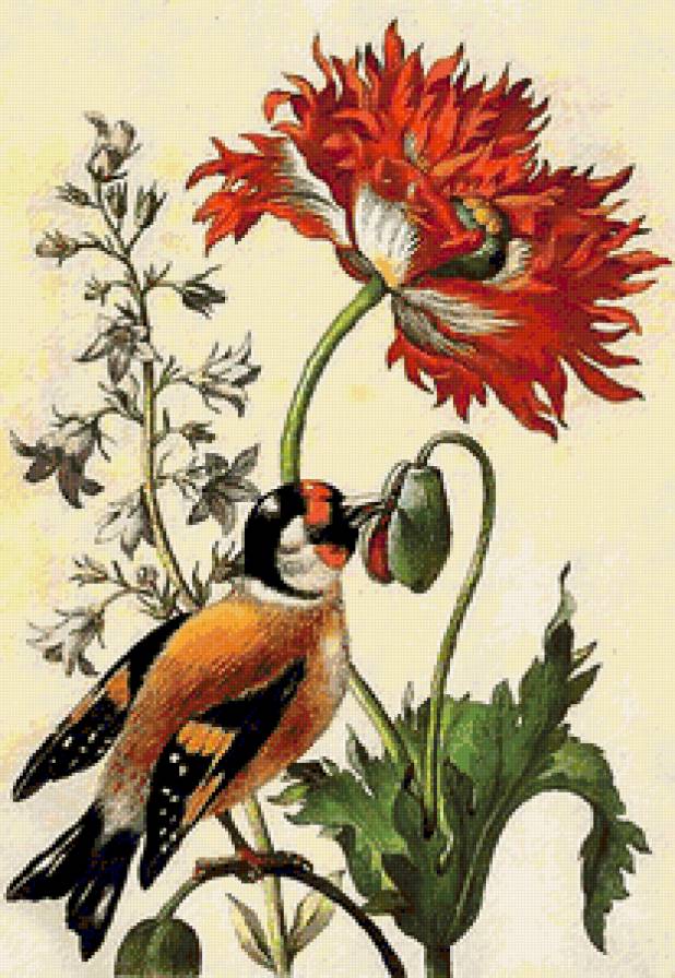 птичка на цветах - предпросмотр