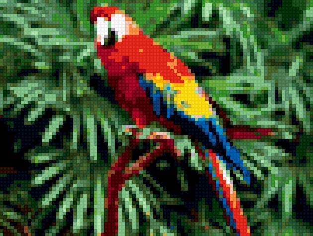 попугай - птицы - предпросмотр