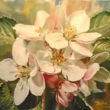 Схема вышивки «цветы»