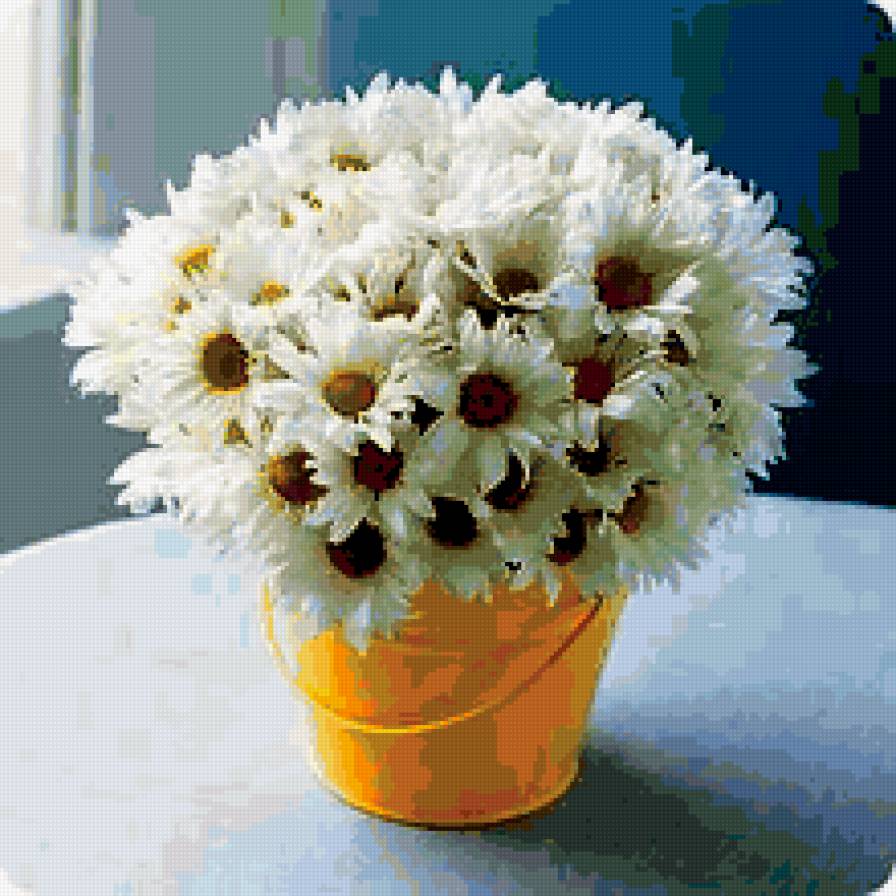 ведро ромашек - кухня, букет, ромашки - предпросмотр