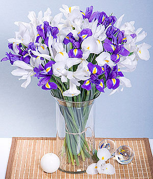 ирисы - ирис, букет - оригинал