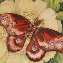 Оригинал схемы вышивки «бабочка» (№281394)