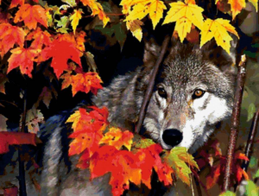 взгляд - предпросмотр