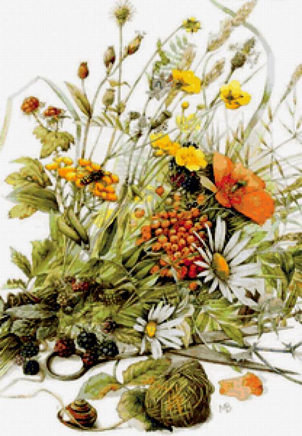 полевые цветы - цветы - предпросмотр