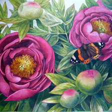 Схема вышивки «пионы»