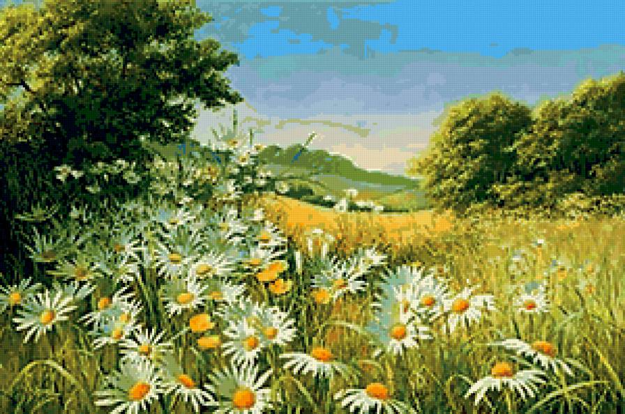 Ромашковое поле - поле, цветы, ромашки - предпросмотр