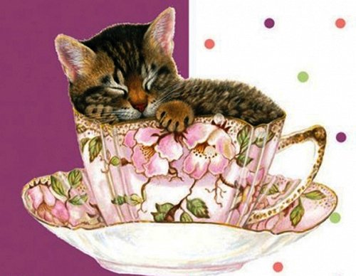 Котёнок в чашечке - кошки, чашечка, кошка, коты, малыши, котята, посуда, кот - оригинал
