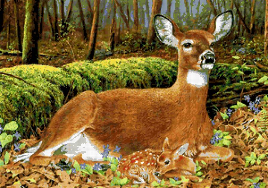 красота - картина - предпросмотр