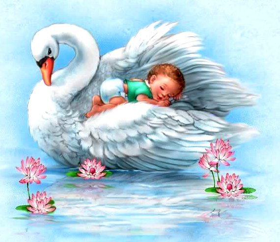 Для Новорожденного - ребенок, детки, новорожденные, сон, лебедь, малыши, птица - оригинал