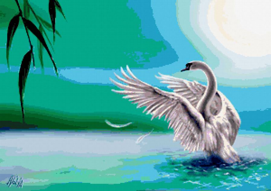 Лебедь - лебеди, природа, лебедь, лето, красота, грация, птицы - предпросмотр