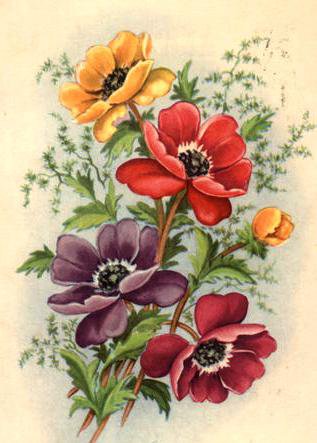 букет цветов - оригинал