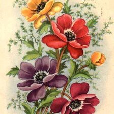 Оригинал схемы вышивки «букет цветов» (№281983)