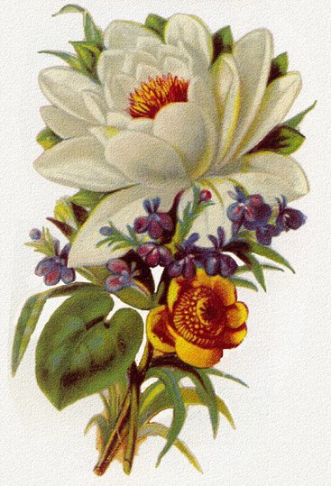 букет цветов - оригинал