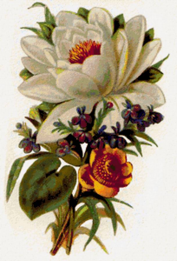 букет цветов - предпросмотр