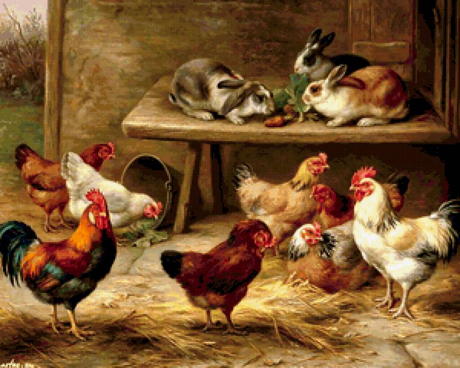 Птичий двор - птицы - предпросмотр