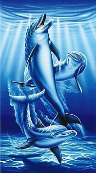 Дельфины - море, вода, дельфины, волны, природа - оригинал